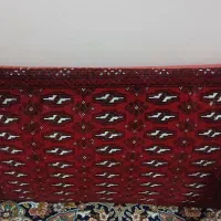 پشتی