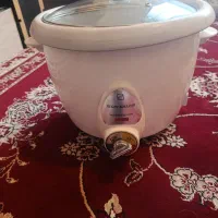 پلوپز برقی