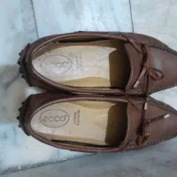 کفش اکوecco