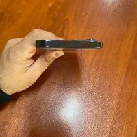 12پرومکس دوسیم باتری ۸۰