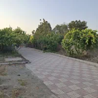 باغ-بنادار-1265-متری-در-صالحیه-آب-برق-و-گاز