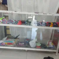 ویترین و مانکن
