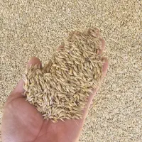 جو درجه۱
