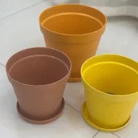 گلدون|گل و گیاه طبیعی|بوشهر, |دیوار