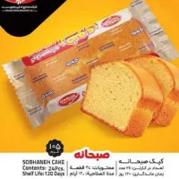 استخدام ویزیتور
