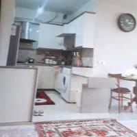 خدمات نظافت منزل و مشاعات خانم واقا باتجربه ۱۵