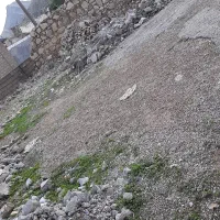 زمین محله بی بیان