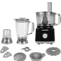 غذا ساز گاسونیک