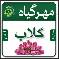 مژده به خانم ها که میخان استقلال مالی داشته باشن