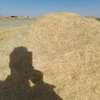 کاه کوپه 600