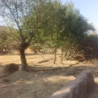 املاک-درزمین-وباغ