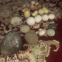 فروش سنگ