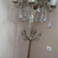 اباژور 13شاخه