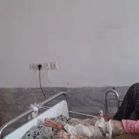 نیازمند کارگر خانم