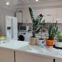 حاشیه-حکیم-120-متر-فول-امکانات-شیک