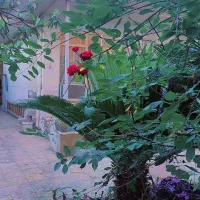 اقامتگاه-گیل-مارجان