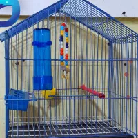 قفس وغیره