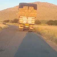کلش و کاه دیمی نرم وسفید درجه یک کوردستان