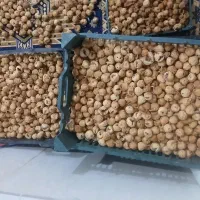 انجیر|خوردنی و آشامیدنی|فسا, |دیوار