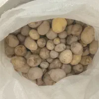 سیب‌زمینی محلی