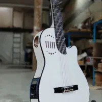 گیتار طرح گودین جزیی و کلی