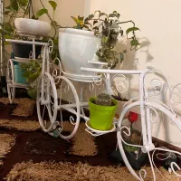 دوچرخه تزینی گل دو عدد
