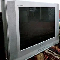 تلوزیون