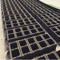 بلوک زن ماهر