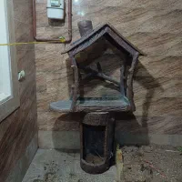 باربیکیو