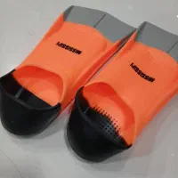 فین شنا