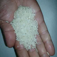 برنج
