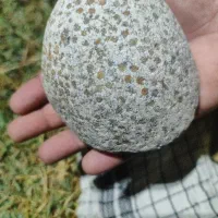 شهاب سنگ طلا