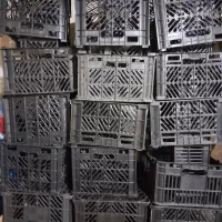 حدود ۶۰عدد سبد پلاستیکی