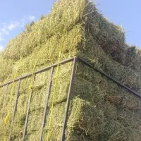 یونجه فروشی