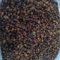 کشمش تیزآبی