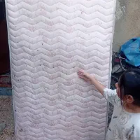 دوعدد تشک