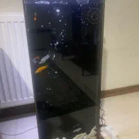 اکواریوم|ماهی|شاهرود, |دیوار