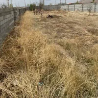باغ 700متر ویلاهای خواجه مرجان