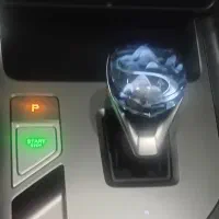 رووی در تهران