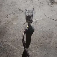 پکنیک