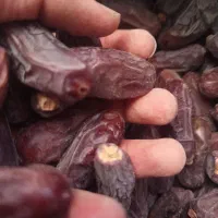خرما ربی تناژ بالا
