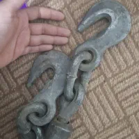 جکلوی تسمه جغجغه ای