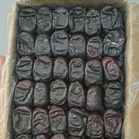 خرمای مضافتی امسالی رسید