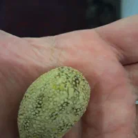 سنگ عشق