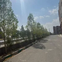 ولی‌عصر‌6