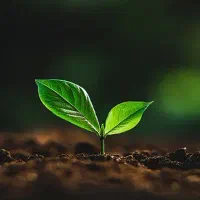 دوره رهایی و پاکسازی اعتیاد