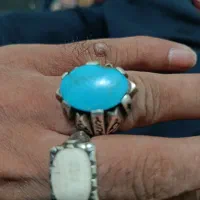 انگشتره شجر