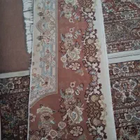 قالی|فرش|گرگان, |دیوار