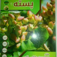 کتاب دانستنیهای علمی و تجربی پسته