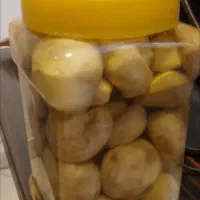 قارچ بلانچ شده